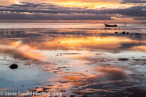 Steve Gould Photography
